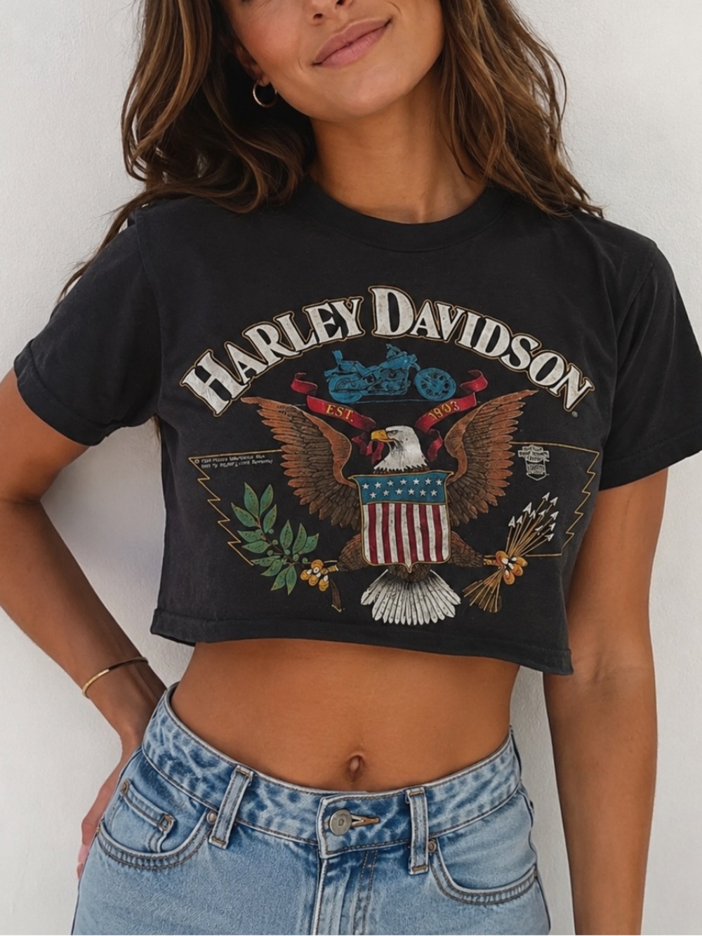 Vintage cropped Harley Davidson shirt